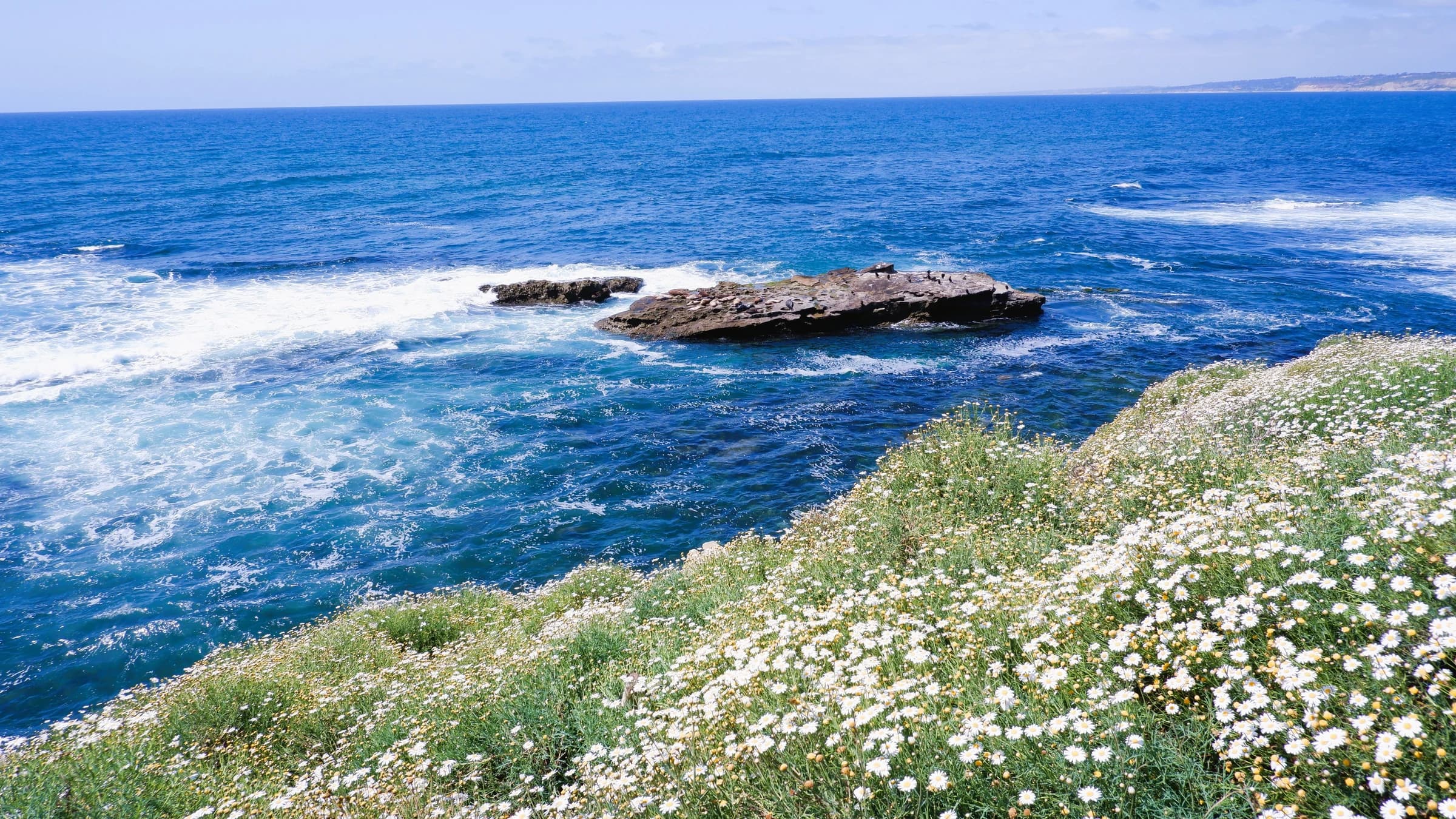 La Jolla coastline used as local atmosphere.