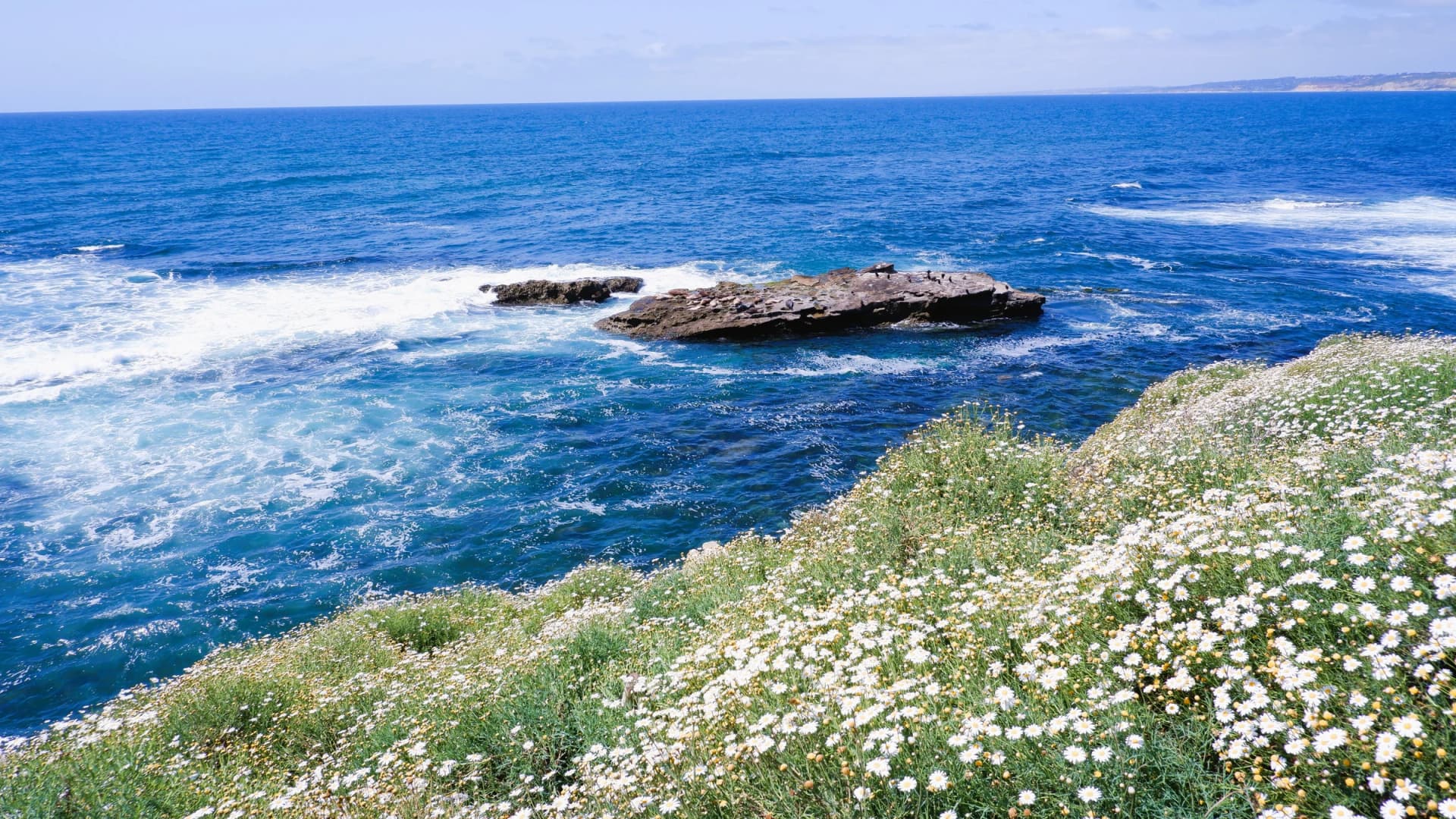 La Jolla coastline used as local atmosphere, not a studio view.